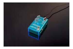 Joyo Narcisus Chorus
