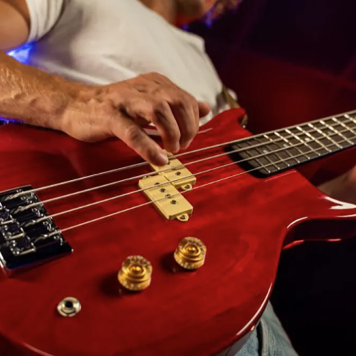 Washburn Scavenger Reissue Review